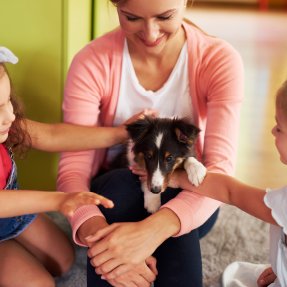 Chiot shetland dans les bras d'une jeune femme entourée d'enfant - Un moment convivial entre chien et enfant pour assurer le sérénité de tous