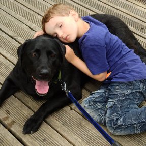 Un jeune garçon faisant un câlin à un labrador noir qui est couché - Une approche pédagogique complète pour prévenir les morsures