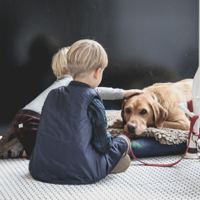 Photo de deux garçonnets blond, l'un deux tient la laisse rouge d'un chien labrador beige; l'autre caresse la tête du chien - Assurer la sécurité de tous