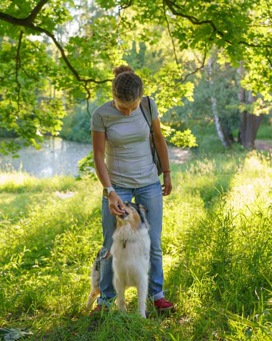 Une jeune femme se trouve en forêt avec un sac à dos sur l'épaule, Entre ses jambes se trouve un chien berger australien qui cherche a attraper la friandise qui est dans sa main - Nos services aux particuliers pour aller plus loin dans ses projets et ses envies​