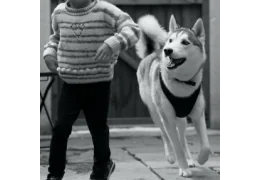 Prévention des morsures : Sécuriser la relation enfant-chien